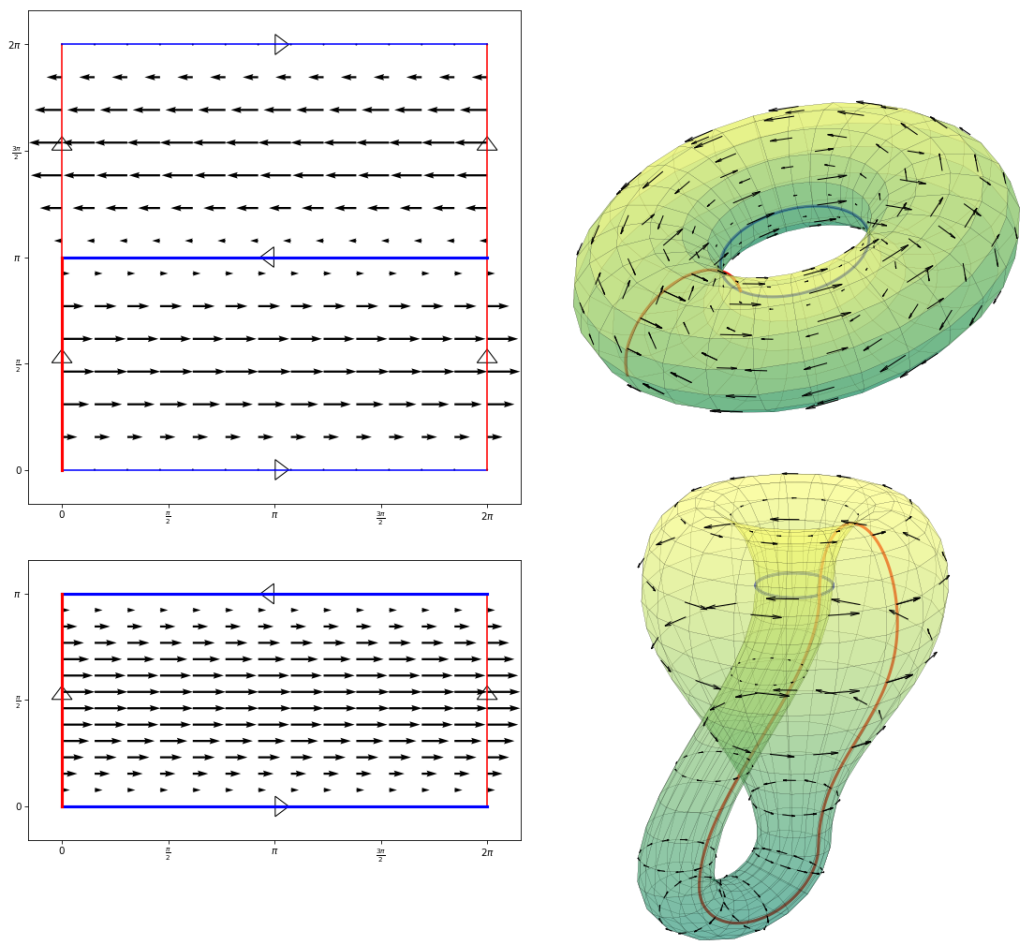 Torus and Klein Bottle