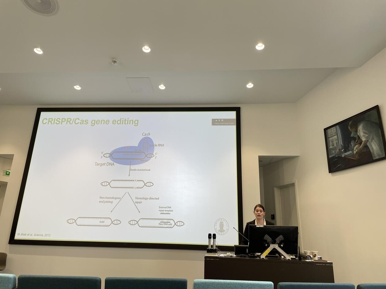 Victoria Smith Arnesen PhD