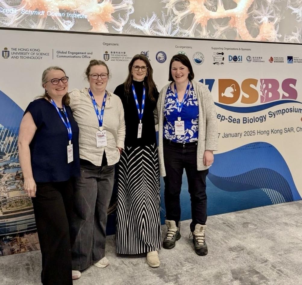 Den 17. DSBS finner sted denne uken i Hong Kong.