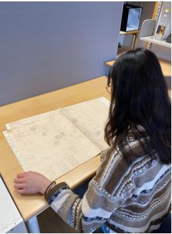 Rosa studerer plantegninger