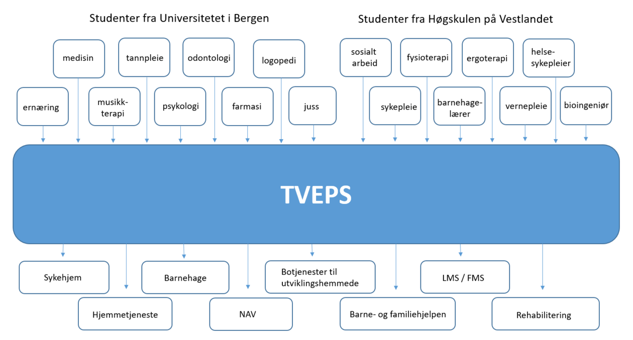 Tankekart av hvem TVEPS er og hva/hvem de jobber med