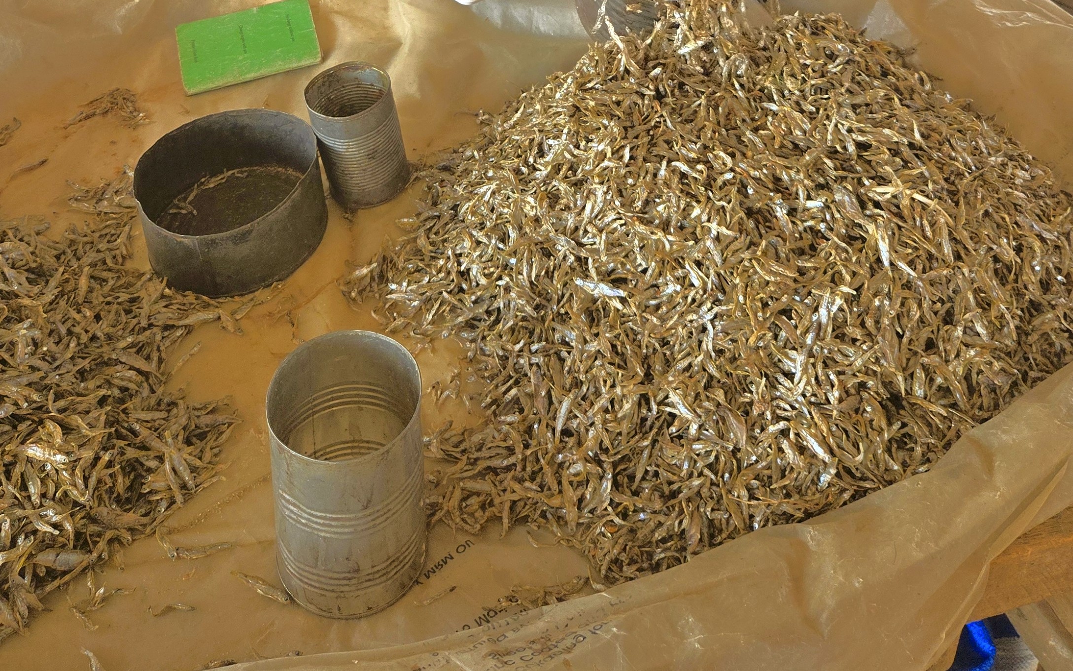 Omena display in the market.