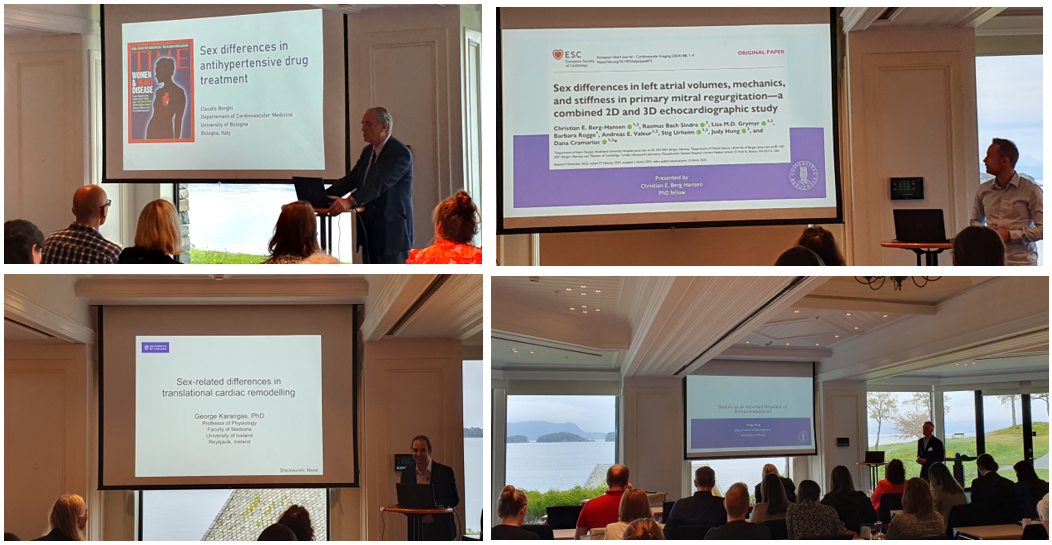 Bilde av forelesere Female Heart 2024