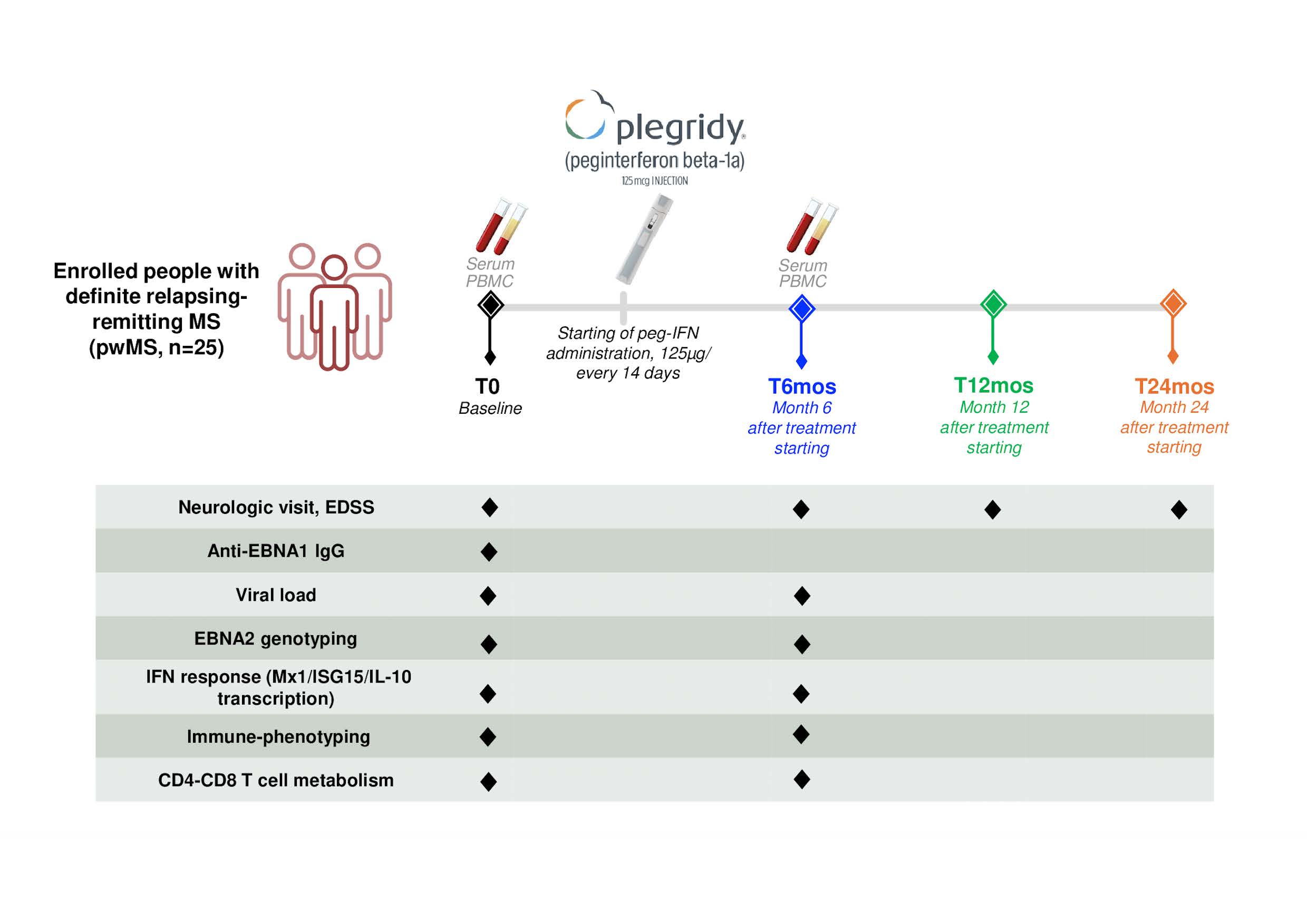 Schematic overview over the presented study