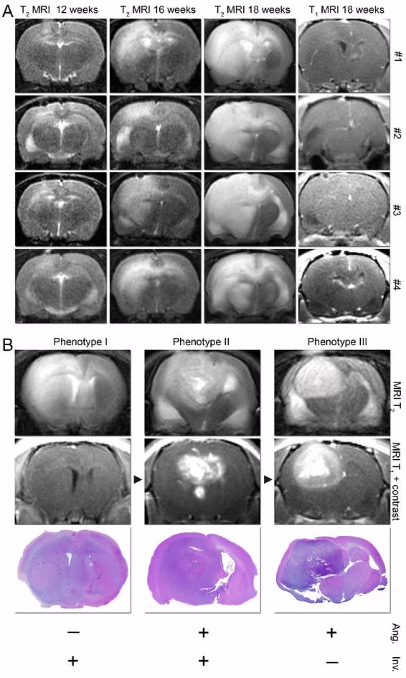Oncomatrix research lab
