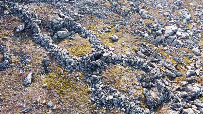 Fangstgrav for villrein