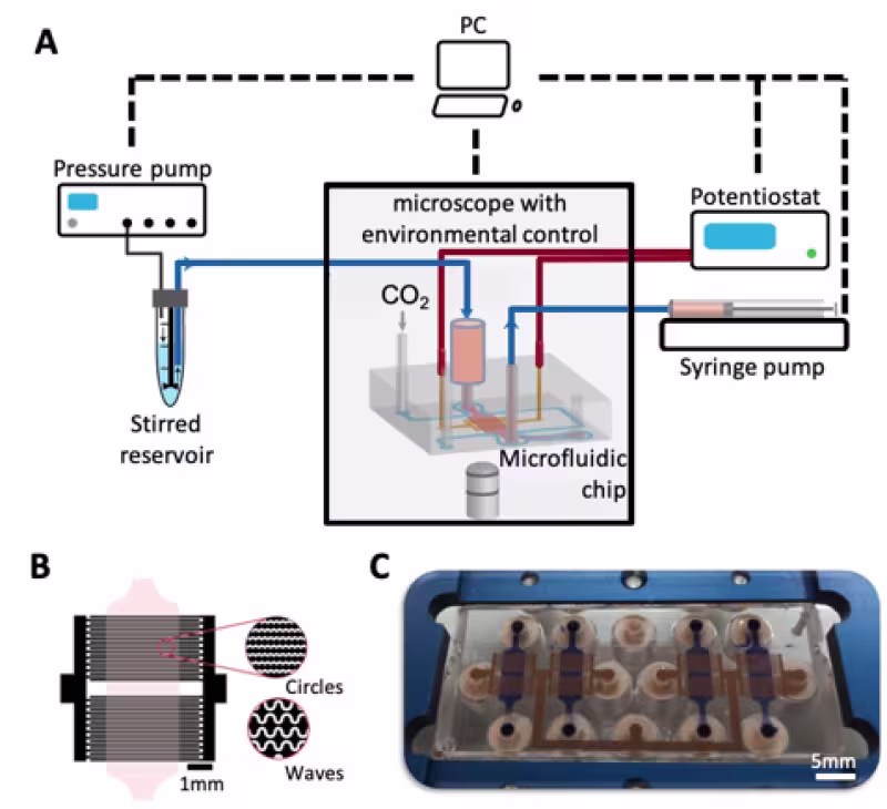 A549 lung cancer cells exposed to multi-layered graphene encapsulated magnetic nanoparticles 