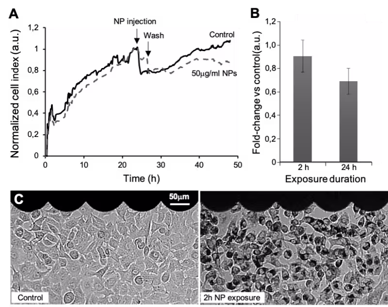A549 lung cancer cells exposed to multi-layered graphene encapsulated magnetic nanoparticles 