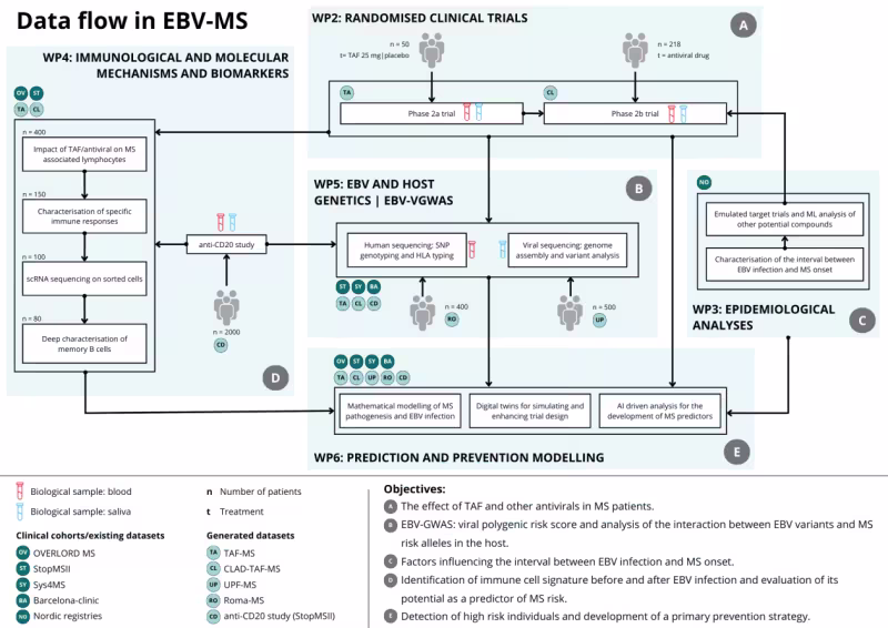 Data flow chart diagram.