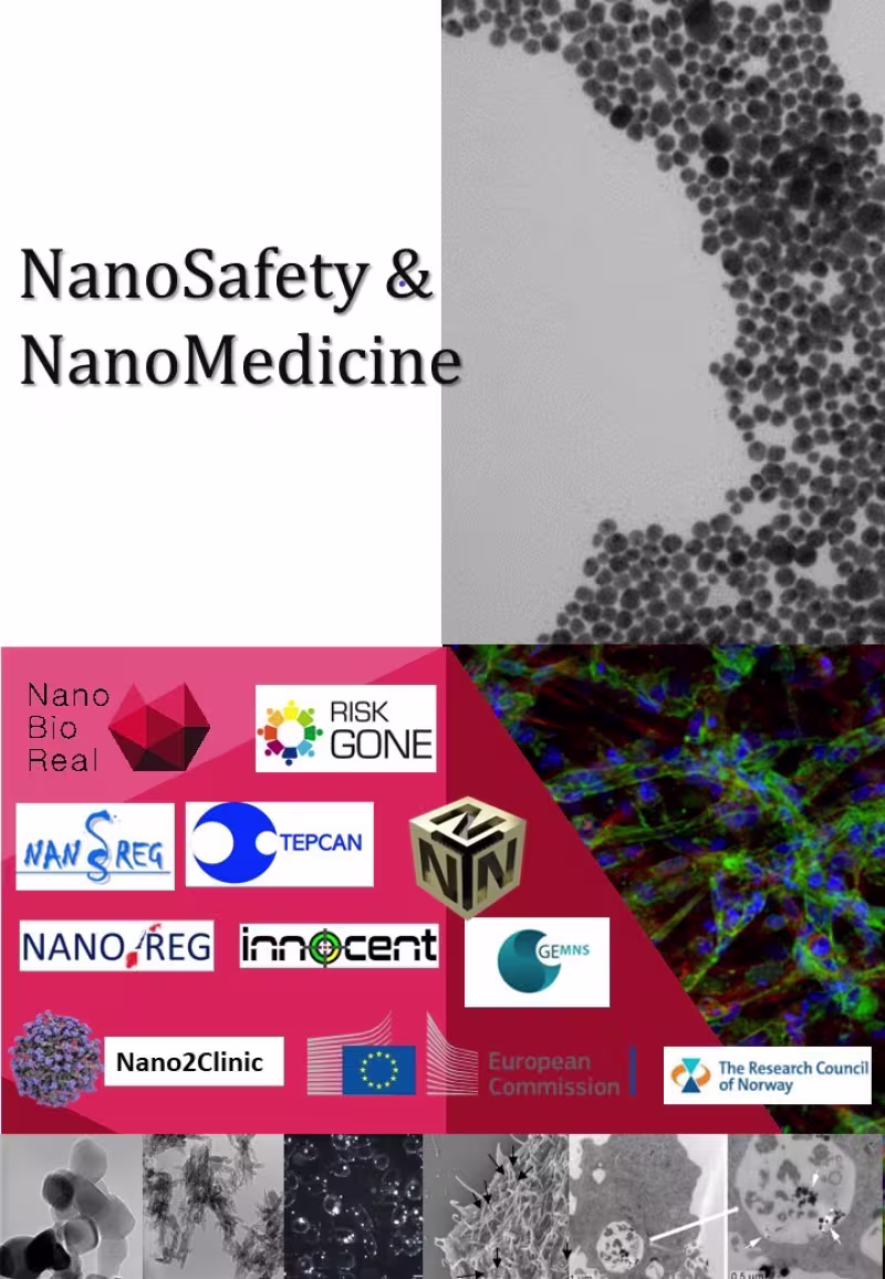 Picture showing nano particles, cells and project logos