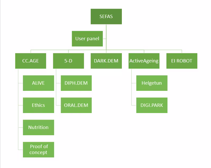 A project chart for SEFAS, hierarchy illustration.