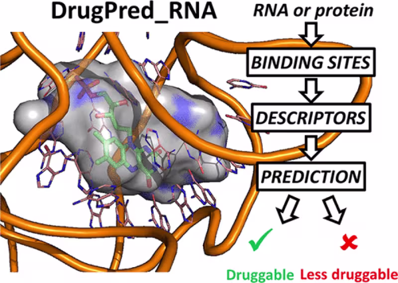 TOC graphic Rekand elt al.