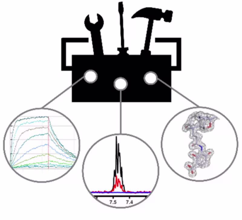 TOC graphic Espeland et al.
