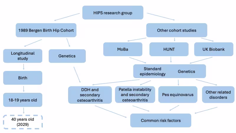Figure showing the various projects of HIPS Research group