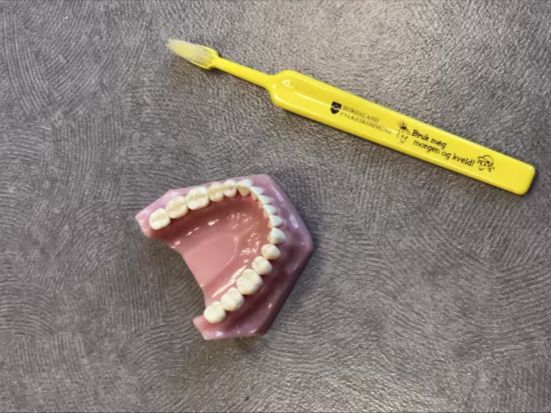 Tannpuss er en populær gjenganger i barnehagene.