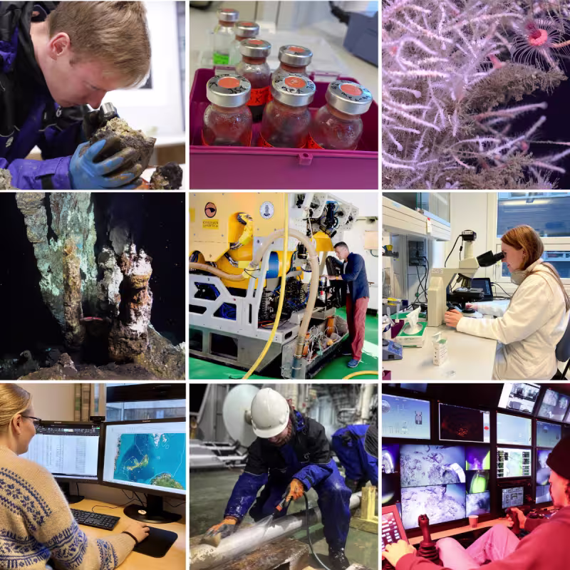 fotomontasje av forskere i arbeid