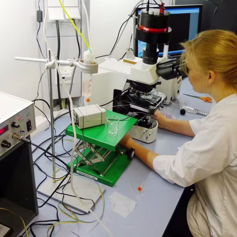 Setup for live chamber