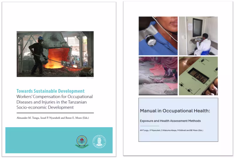 book covers for two books. book on the left has a picture of a man working in a smeltery with the title of the book below. Book to the right has a collage for 4 pictures on top illustrating work situations where measurement of noise, dust and hearing test are conducted.