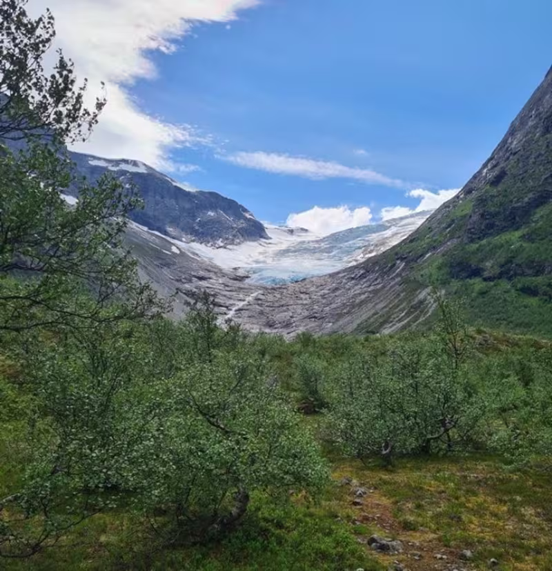 Bødalsbreen