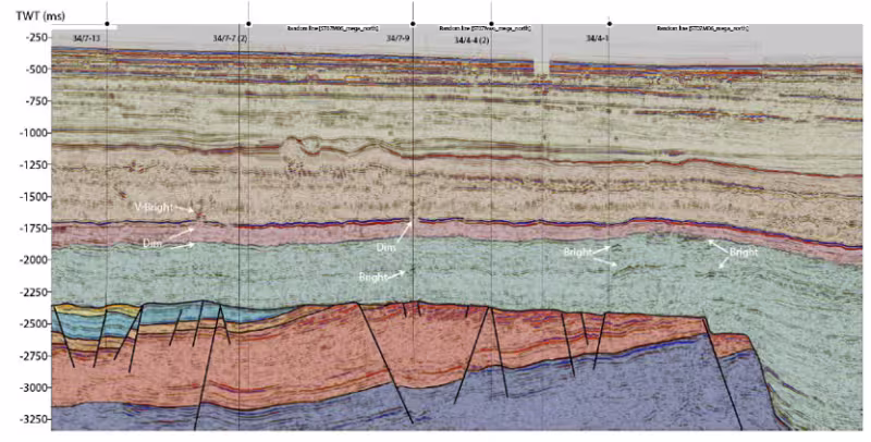Fault sealing controls at the Snorre field