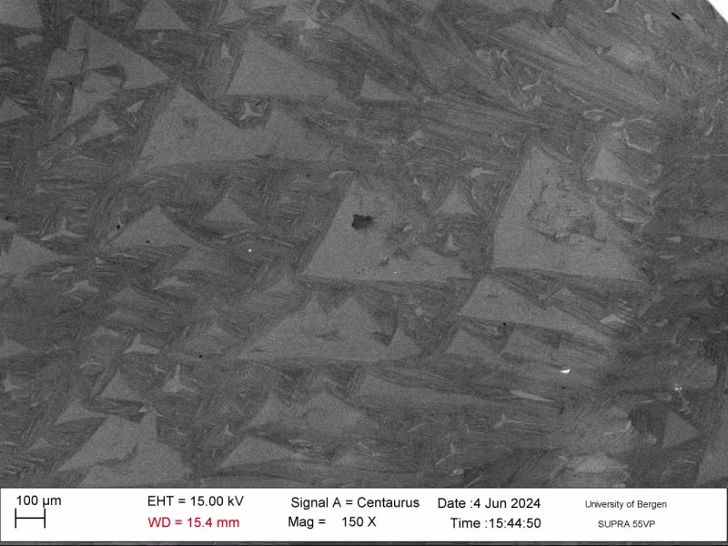 CL picture of a stalagmite from Borneo