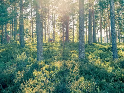 Link to ECOBUDGETS | UiB
