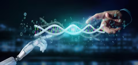 Link to Human Futures: A study of Technoscientific Immortality | UiB