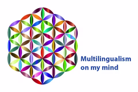 Link to Research group Multilingualism on my mind | UiB