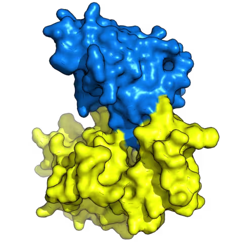 Link to Petri Kursula