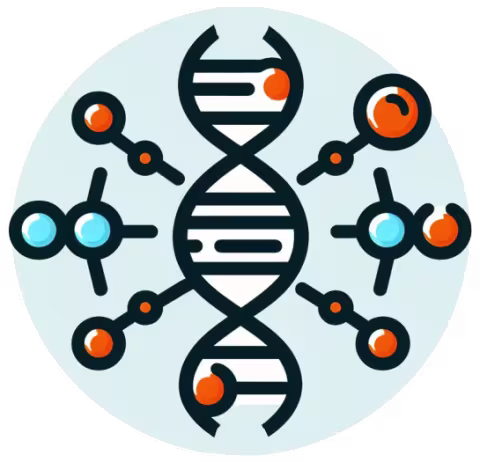 Figure of RNA