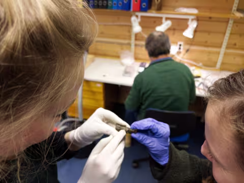 To people holding and watching a small metal object