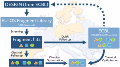 Figure illustrating the research