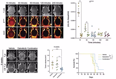 Improved drug delivery to BM