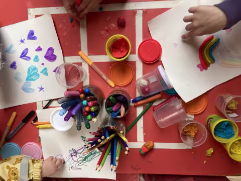 Link to IMAGINE | UiB