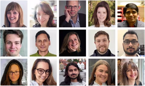 Link to Neurotargeting Research Group | UiB