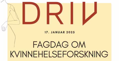 Driv - fagdag 17. januar