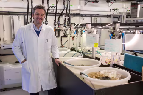 Portrait of Lionel Christiaen in an animal facility.