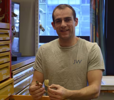 Sam studerer større