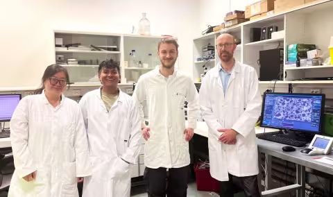 Picture of Na Liu, Frank Viveros Acosa, Pierre-Marie Duclos and Martin Fernø