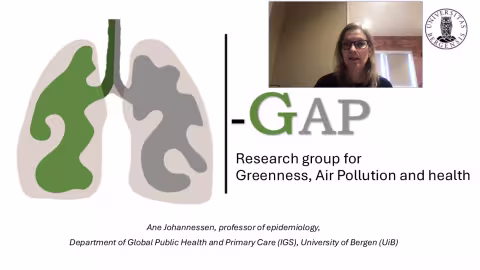 Professor Ane Johannessen presenterer på CHI-webinar #6.