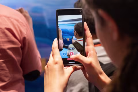 Picture of FluidFlower through phone