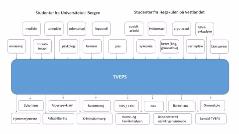 Tankekart om hvem TVEPS er og hva/hvem de jobber med 