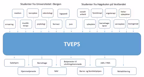 Tankekart av hvem TVEPS er og hva/hvem de jobber med