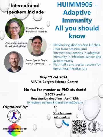 Poster for Advanced course of Immunology 2024: Adaptive Immunity All You Should Know