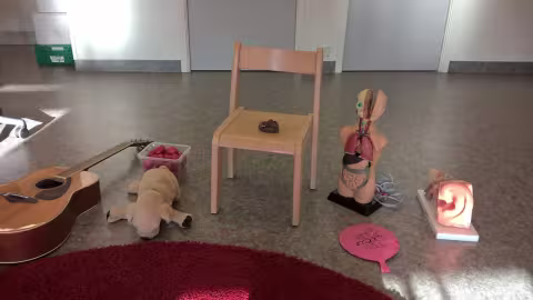 TVEPS i barnehage samling 