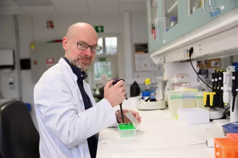 Scientist working in the lab