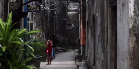 Gate med mann og plante