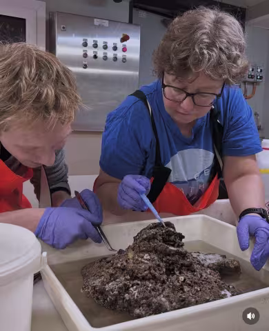 Christian and Mari examining a carbonate recently brought up from ocean floor during the Extreme25 cruise. 