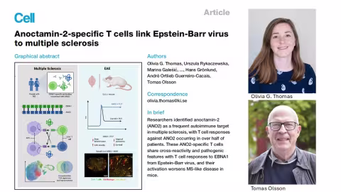 Paper from Cell by Olivia Thomas