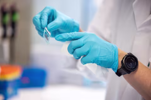 Gloved hands holding a sample in a lab